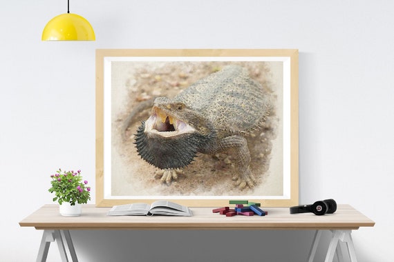 Bearded Dragon Gifts Desert Lizard Wall Decor Print Guest Etsy