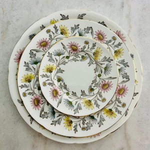 Vintage Coalport Somerset Bone China Plates, Daisy Pattern, England, 16-Piece Set