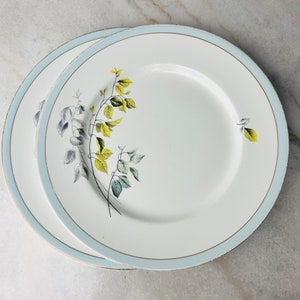 Vintage 1959 Myott Estoril China-Lyke Dinner Plates, set of 2, Made in England, Staffordshire, English mid century tableware, replacement