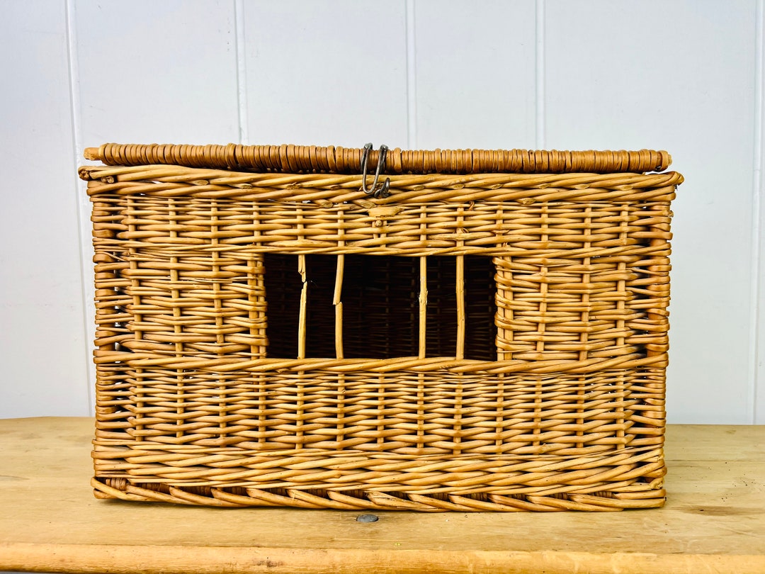 Antique Wicker Pigeon Carrier Basket, Rare, for Homing Pigeon, Vintage ...