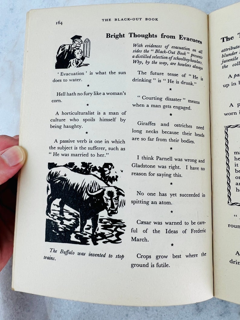Peut inclure: Une illustration en noir et blanc d'un buffle sur un fond blanc. Le texte "The Buffalo was invented to stop trains." est sous l'illustration.