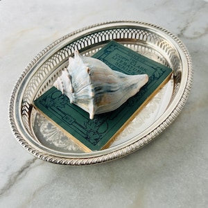 Primrose Ep Brass - Etsy