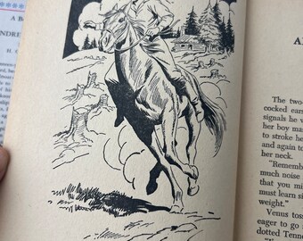 ヴィンテージ本、初版 1946年 「A Boy Fighter」 アンドリュー