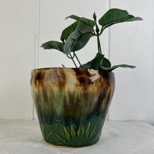 Può includere: Un vaso per piante in ceramica smaltata con finitura strutturata. Il vaso presenta una sfumatura di colori, che va dal marrone in alto al verde alla base. La sezione verde ha un motivo a erba. Contiene una pianta con grandi foglie verdi.