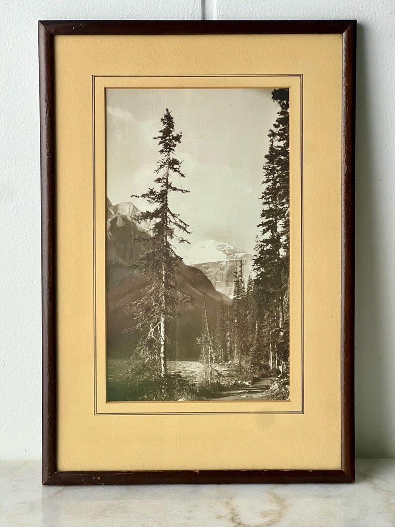 Vintage Black and White Photograph, Forest and Mountain Scene, Hand