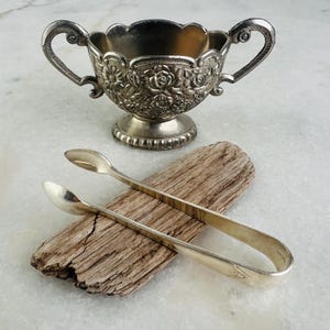 May include: A silver-colored sugar bowl with floral detailing and two handles, accompanied by a pair of silver sugar tongs. The bowl sits atop a pedestal base. The tongs are resting on a piece of driftwood.