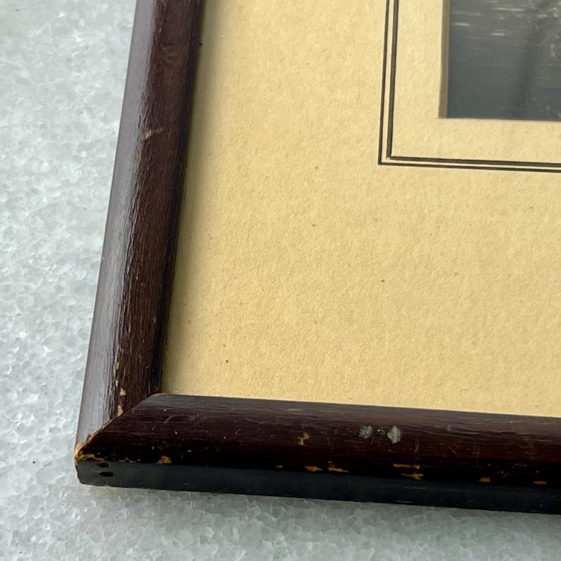 Vintage Black and White Photograph, Forest and Mountain Scene, Hand