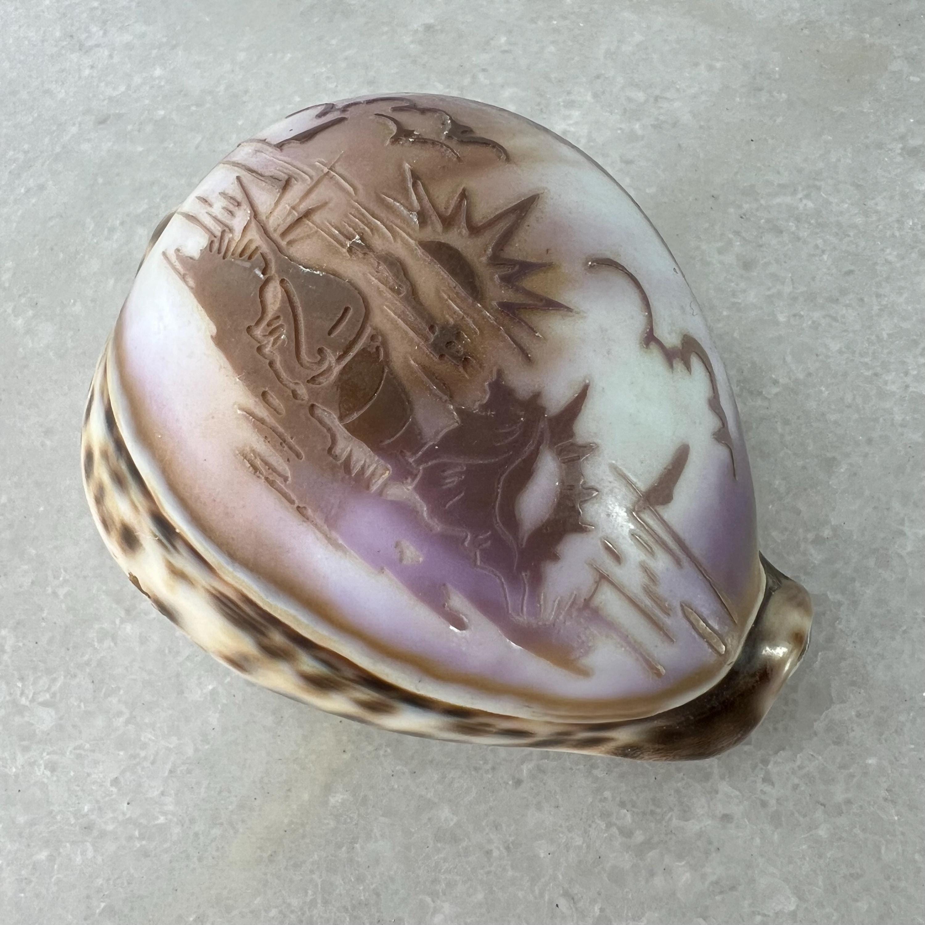 Shell Themed vintage Paperweight (JAS) Shell Themed vintage Paperweight (JAS)