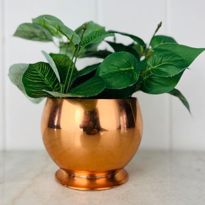 Puede incluir: Una maceta de cobre con base redonda y una abertura ancha y redondeada. La maceta está llena de plantas verdes de hoja.
