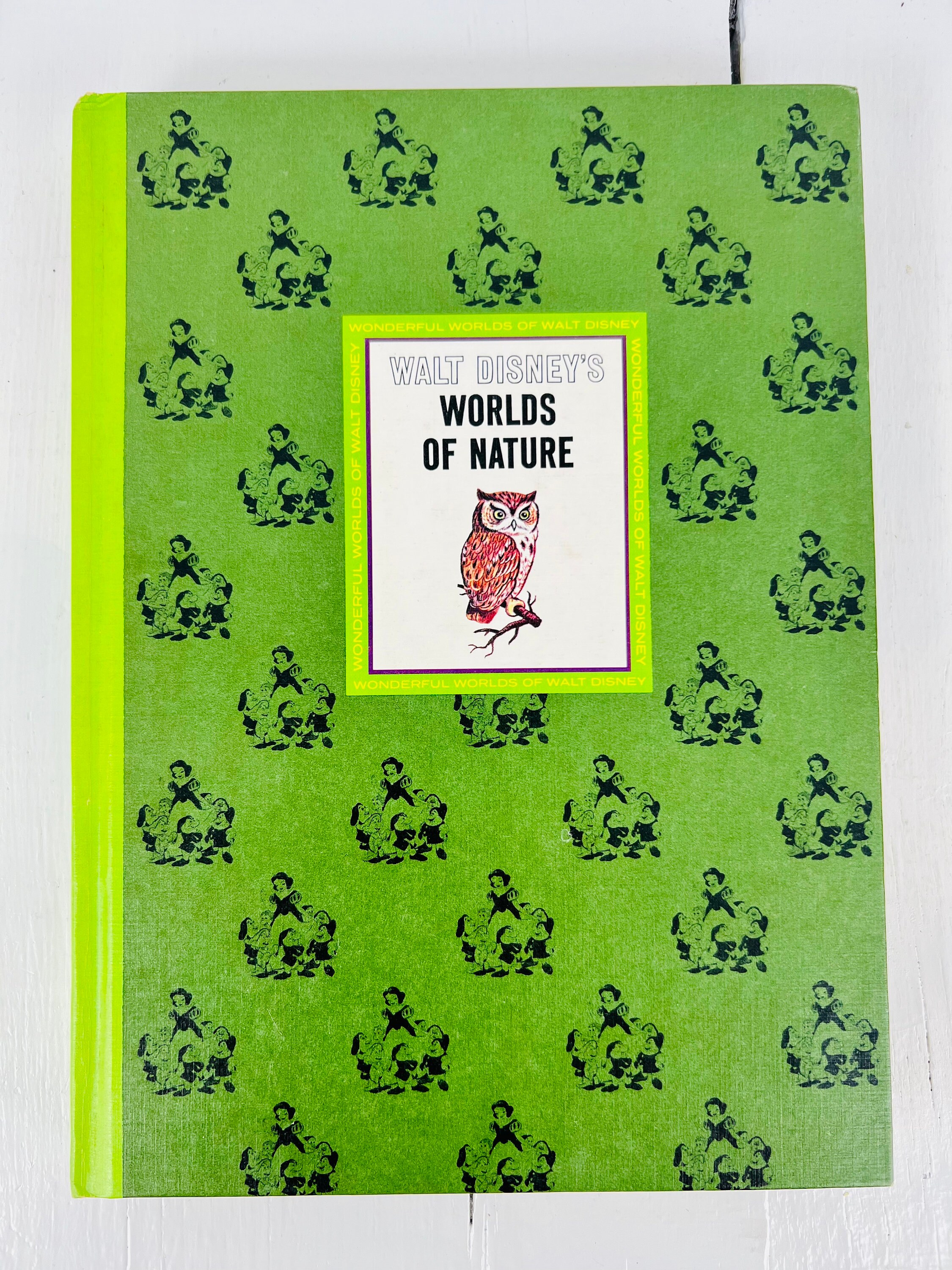 Vintage 1965 Walt Disney Hardcover Book Set, Illustrated