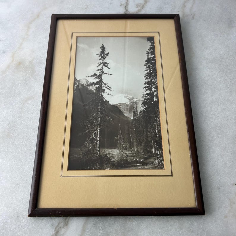 Vintage Black and White Photograph, Forest and Mountain Scene, Hand