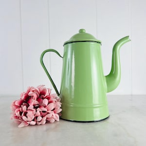 May include: A vintage green enamelware coffee pot with a lid and a curved spout. The pot has a black rim and handle. A pink flower is next to the coffee pot. The background is white.