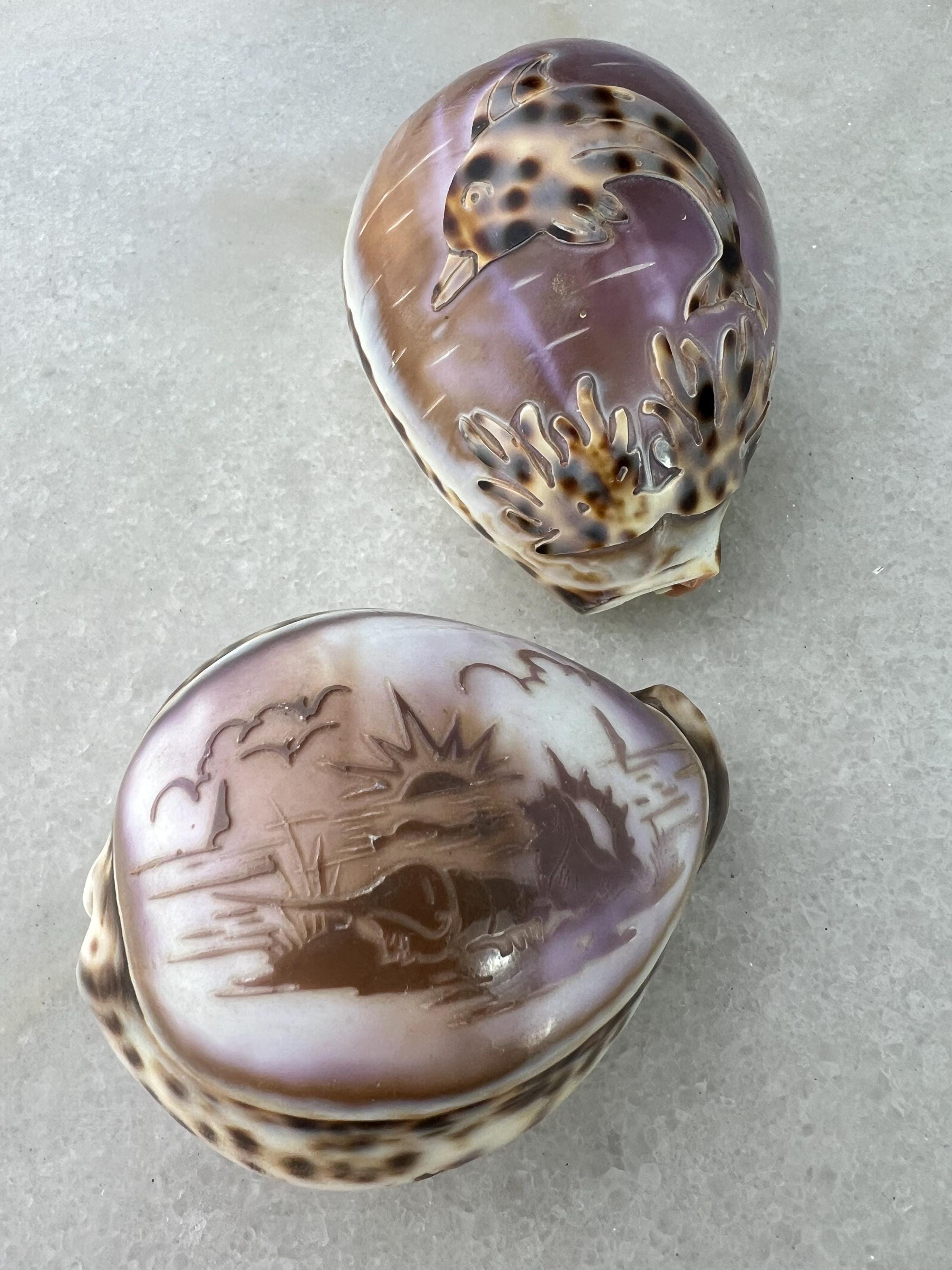 Shell Themed vintage Paperweight (JAS) Shell Themed vintage Paperweight (JAS)