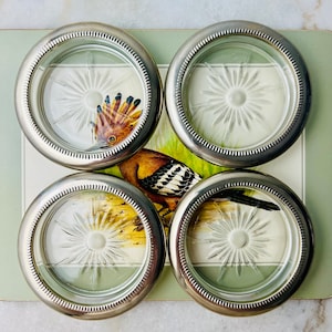 Vintage Silverplate Glass Coasters, set of 4, made in Italy, Pressed glass starburst base, Art Deco, bar decor, Wedding decor, vintage gift