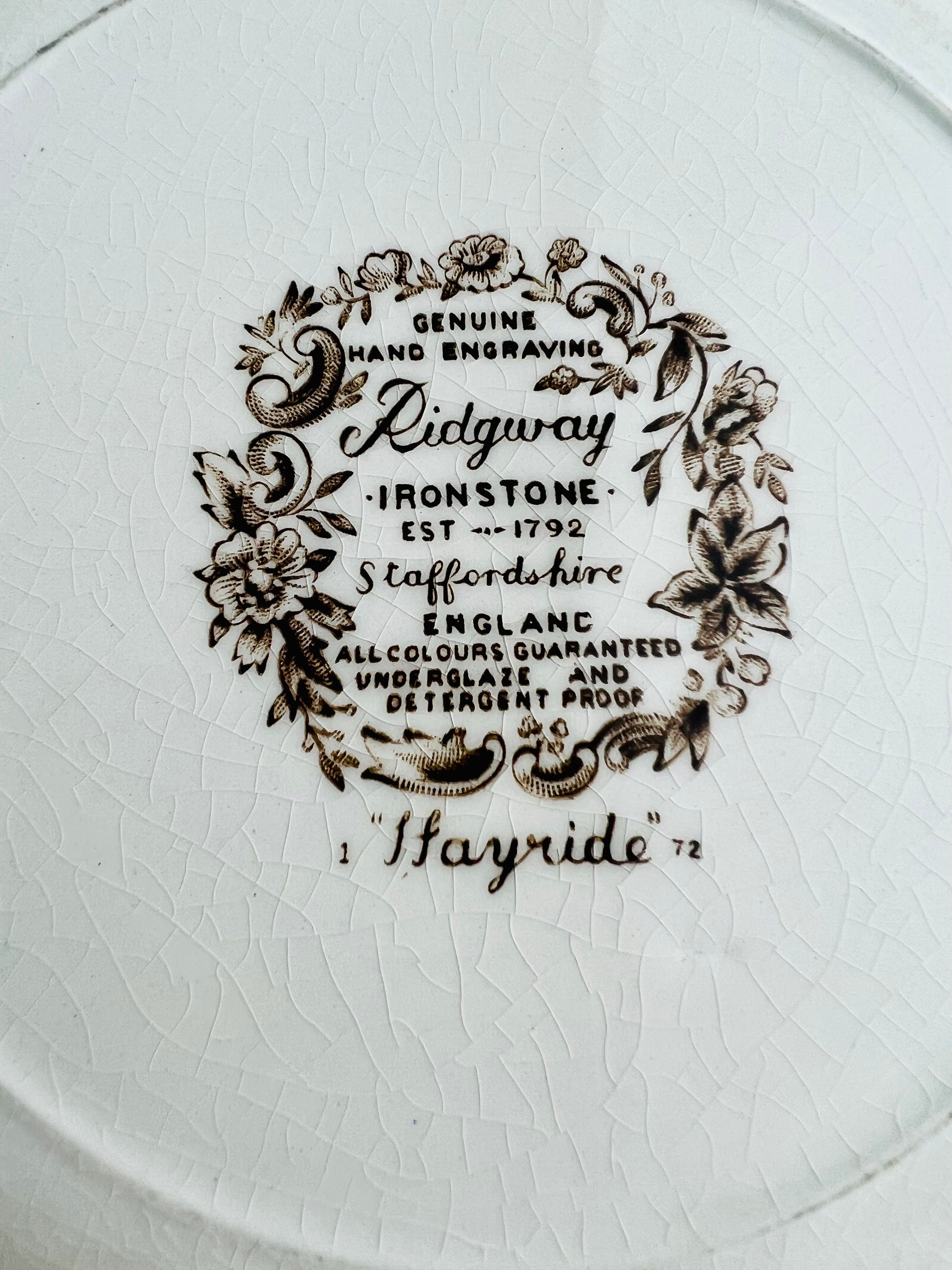Vintage Ridgway Hayride Plate, Set of Two, 1950s Ironstone, Brown