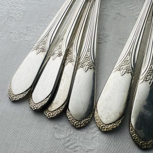 Wm. A. Rogers &Son Oneida LTD Silver Plated 75 Piece Floral Flatware