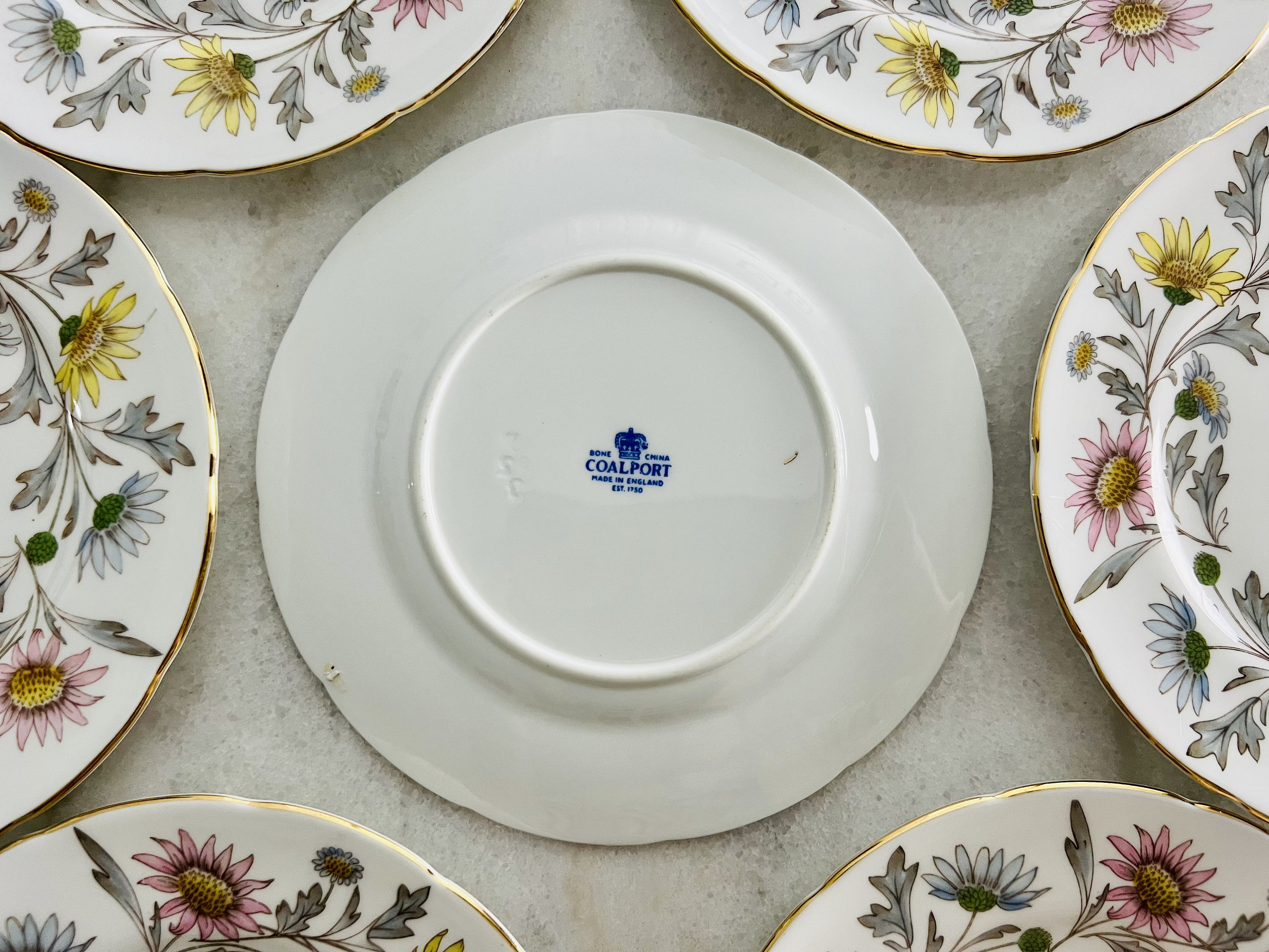 RARE Vintage Coalport Somerset Dinnerware, 16 Pieces, Dinner