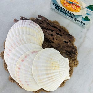 Set van 6 vintage coquilles Saint-Jacques-schalen, natuurlijke serveerschalen met schelpdieren, bakplaten zeevruchten, originele doos, mcm, cadeau