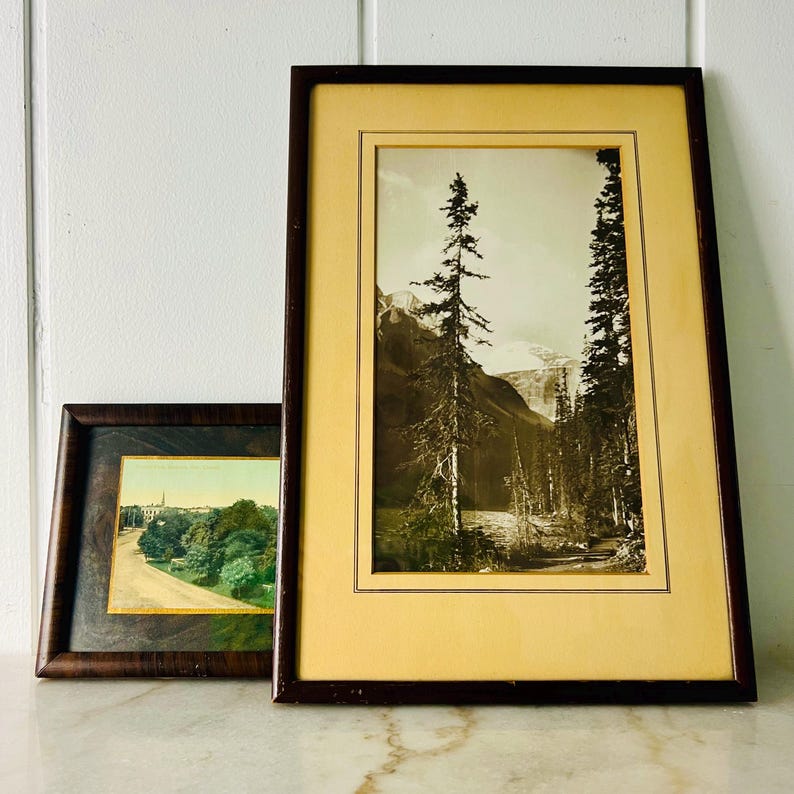 Vintage Black and White Photograph, Forest and Mountain Scene, Hand