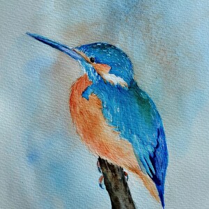 Martin pescatore