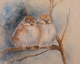 Turteltauben