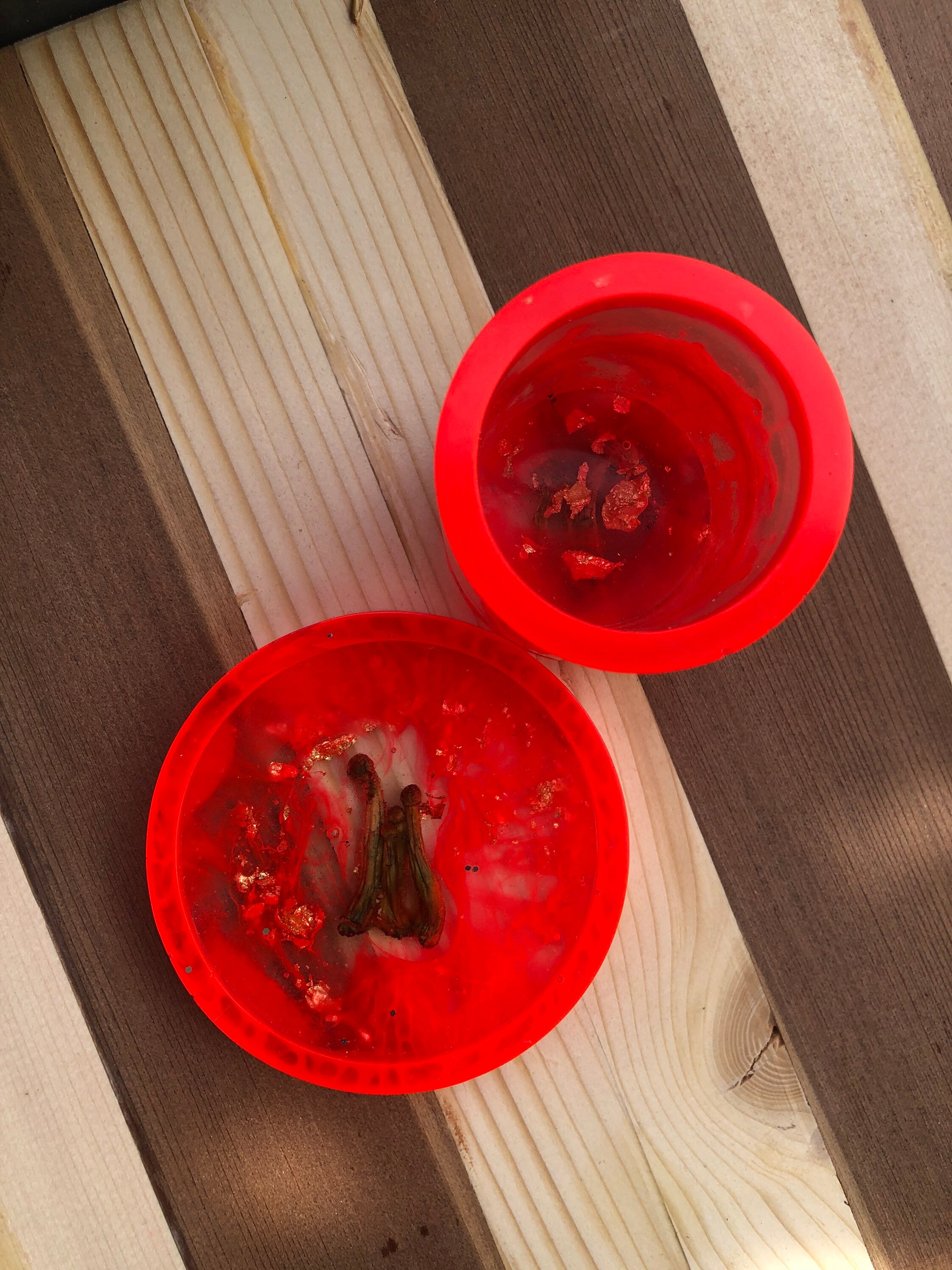 Mushroom in Epoxy Coaster/cup set. Etsy