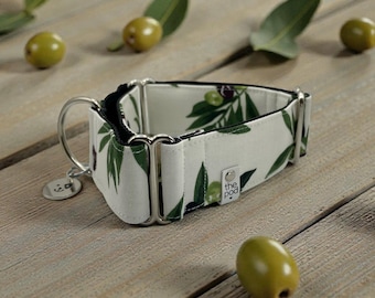 Olive on White | Martingale Collar Greyhound - Whippet - Italian greyhound