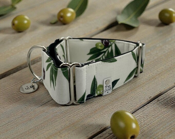 Olive on White | Martingale Collar Greyhound - Whippet - Italian greyhound