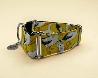 Pelican Yellow | Martingale Collar Greyhound - Whippet - Italian greyhound