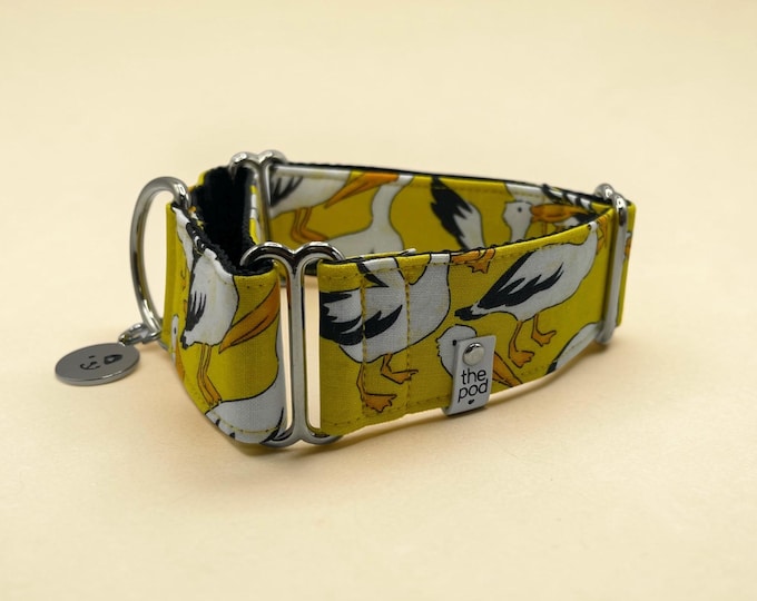 Pelican Yellow | Martingale Collar Greyhound - Whippet - Italian greyhound