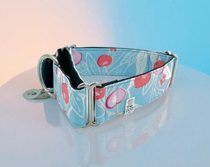 Cherry Sky Blue | Martingale Collar Greyhound - Whippet - Italian greyhound
