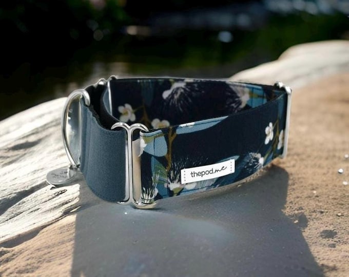 Australian Native Floral - Navy | Martingale Collar / Greyhound - Whippet - Italian greyhound