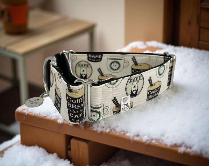 Coffee Bear / White | Martingale Collar Greyhound - Whippet - Italian greyhound