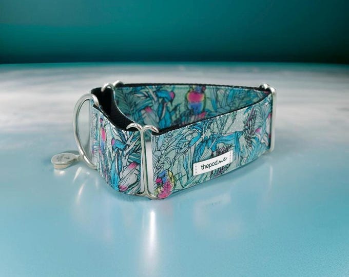 The Scenic Route - The Rainbow Lorikeet | Martingale Collar LIMITED STOCK / Greyhound - Whippet - Italian greyhound