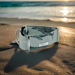 Whales Martingale Collar / Greyhound - Whippet - Italian Greyhound Martingale Collar