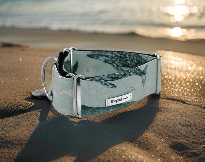 Whales Martingale Dog Collar: Greyhound, Whippet, Iggy