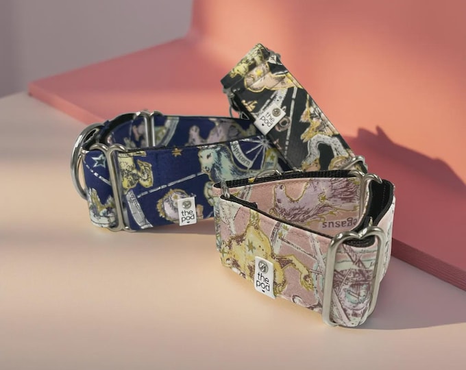 Luna Memorial Martingale Collar and Leash Set | Cotton Greyhound, Whippet, Italian Greyhound