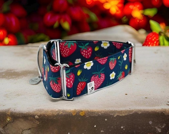 Retro Strawberry / Greyhound - Whippet - Italian Greyhound Martingale Collar