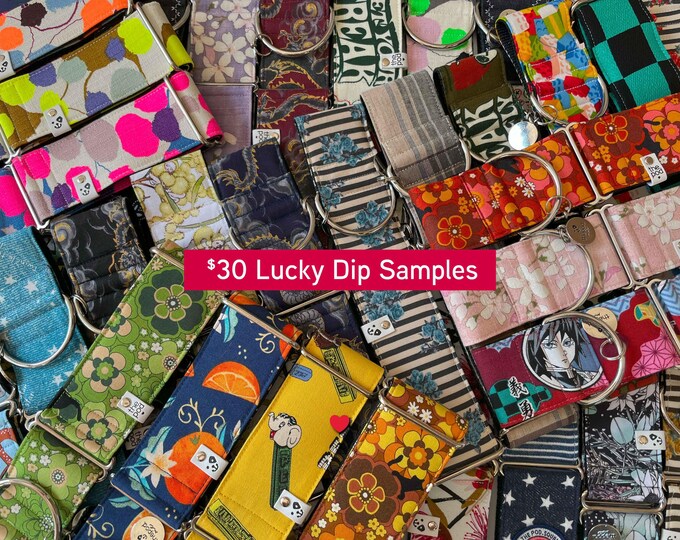 Lucky Dip Sample Greyhound Collar | New Design Samples | Ready to Ship