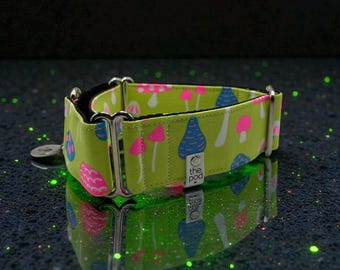 Lime Mushroom | Martingale Collar Greyhound - Whippet - Italian greyhound