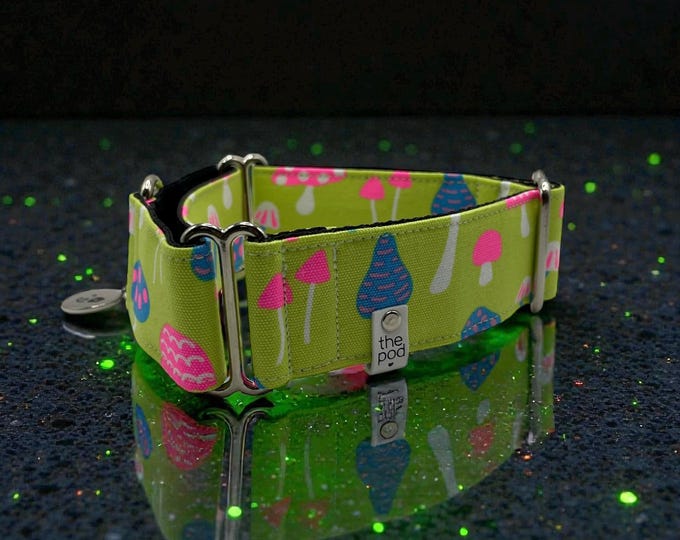 Lime Mushroom | Martingale Collar Greyhound - Whippet - Italian greyhound