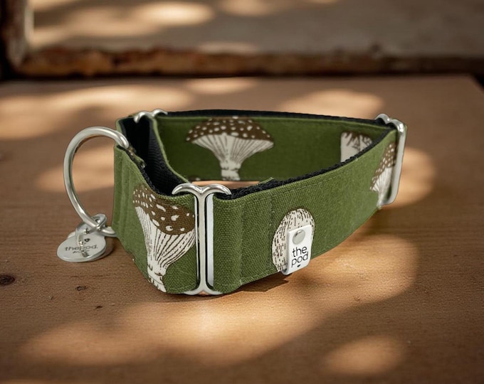 Mushrooms Olive  | Martingale Collar Greyhound - Whippet - Italian greyhound