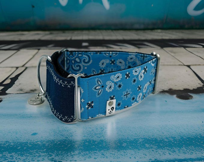 Paisley Denim Martingale Dog Collar: Greyhound, Whippet, Iggy