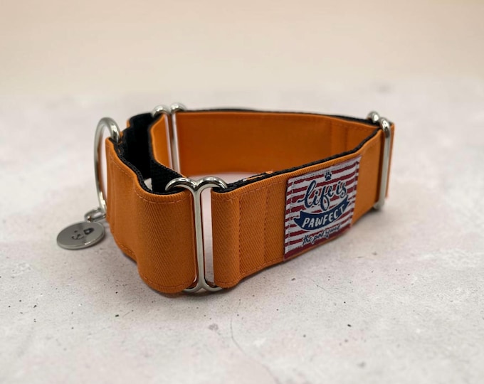 Denim Orange Martingale Collar / Greyhound - Whippet - Italian greyhound