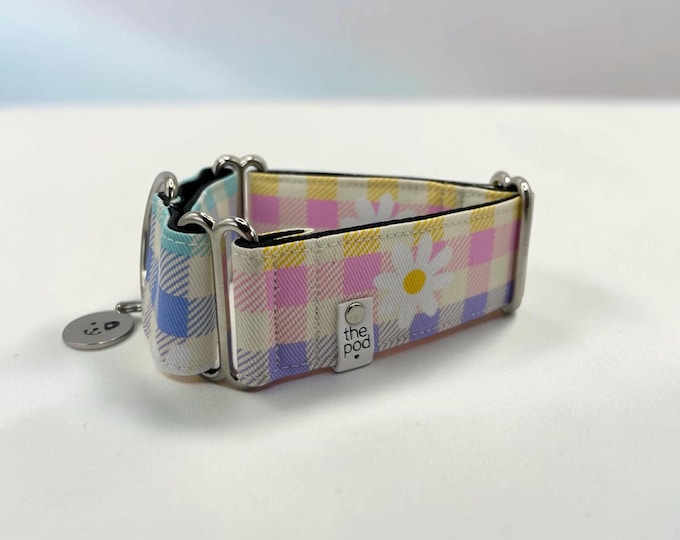 Colorful Tartan / Greyhound - Whippet - Italian Greyhound Martingale Collar