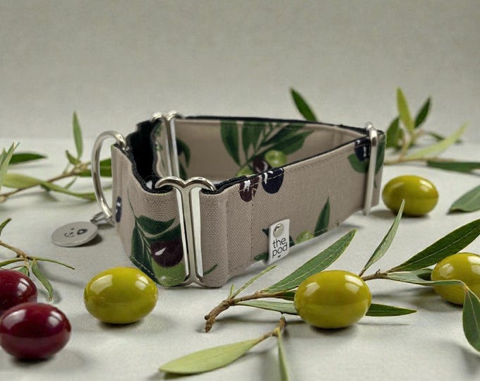 Olive on Sand | Martingale Collar Greyhound - Whippet - Italian greyhound