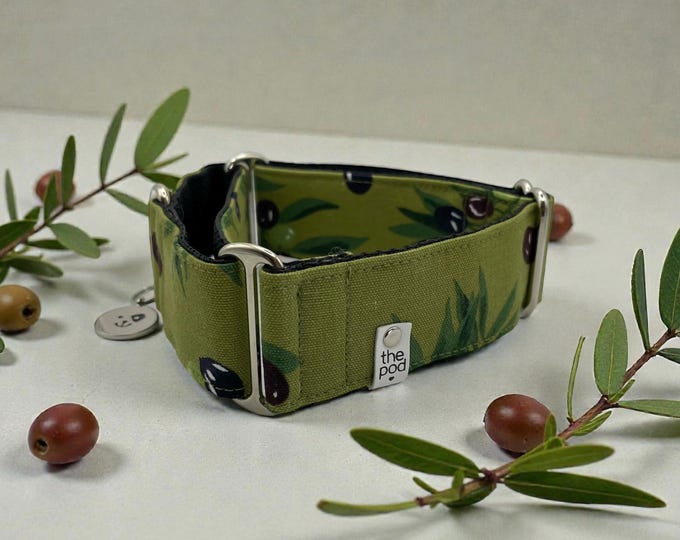 Olive on Moss | Martingale Collar Greyhound - Whippet - Italian greyhound