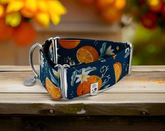 Retro Manderine / Greyhound - Whippet - Italian Greyhound Martingale Collar