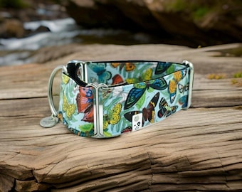 Butterfly Field / Greyhound - Whippet - Italian Greyhound Martingale Collar