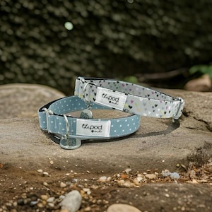 Matching House Collar / Greyhound - Whippet - Italian greyhound